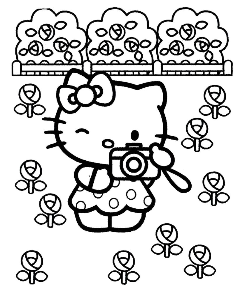 Dibujo de Imagen De Hello Kitty Tomando Fotos Para Colorear para colorear e imprimir Dibujo de Imagen De Hello Kitty Tomando Fotos Para Colorear para colorear